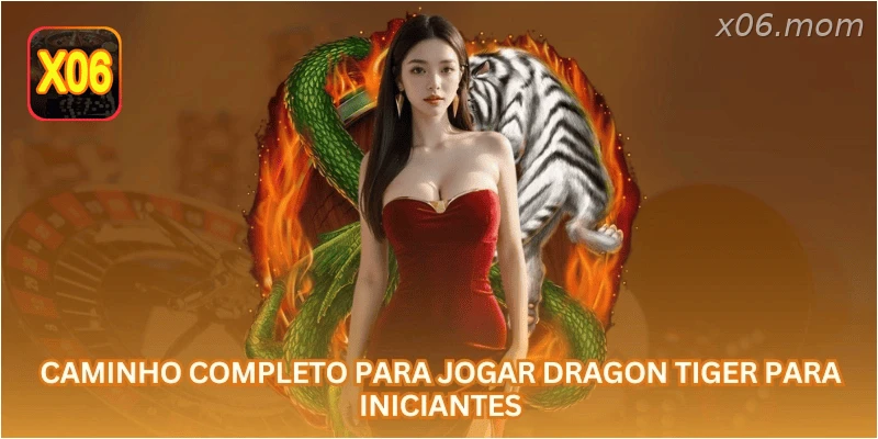 Caminho completo para jogar Dragon Tiger para iniciantes.